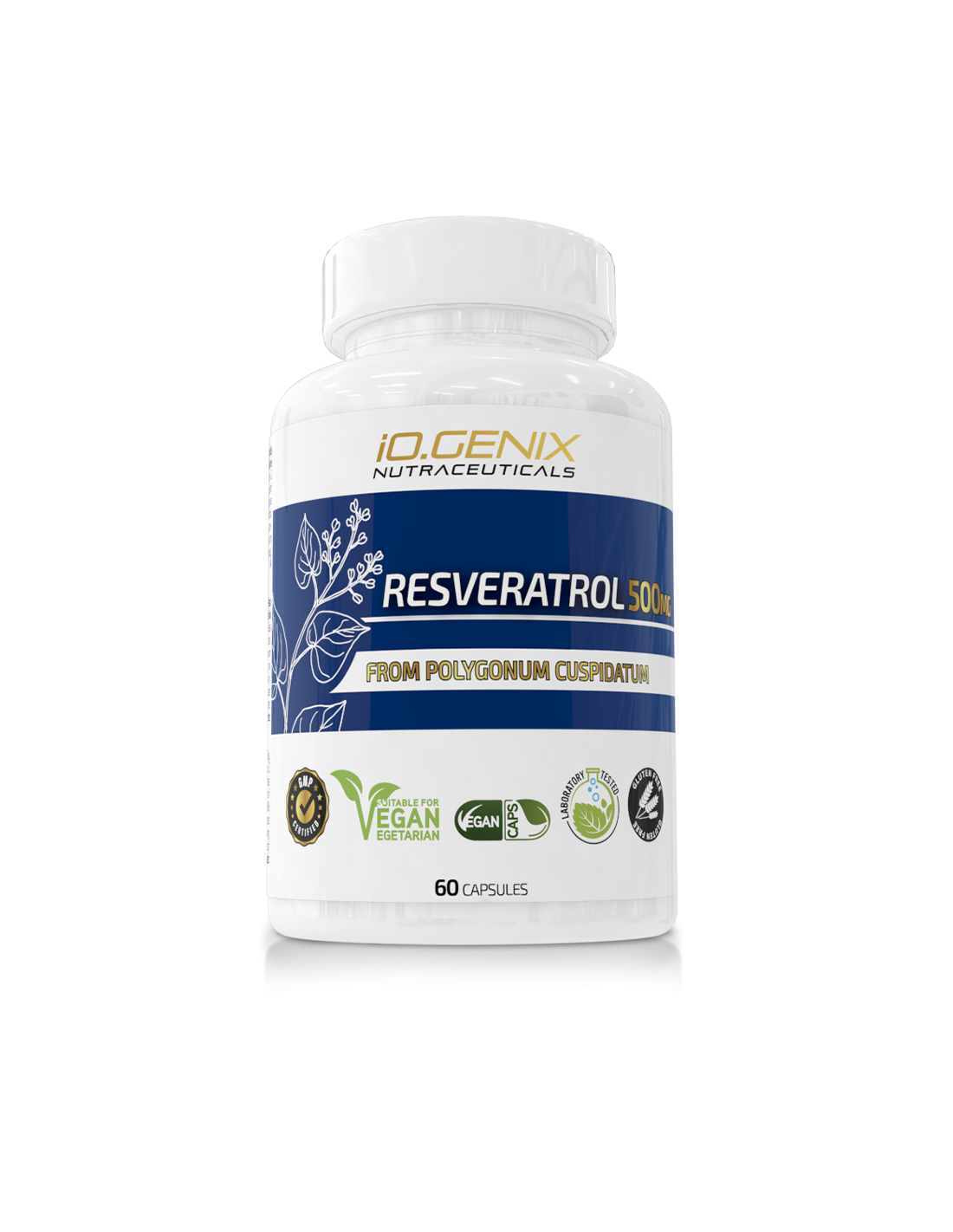 RESVERATROL 500MG 60 CAPS 1 RESVERATROL 500MG 60 CAPS